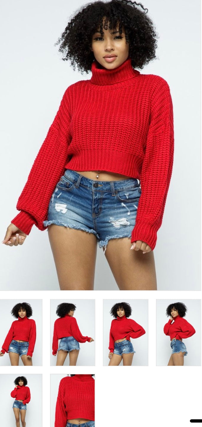 Turtleneck crop Sweater